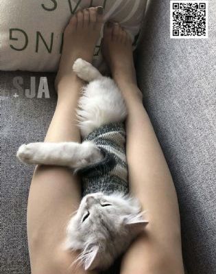 国产情趣酒店情侣偷拍视频在线观看_BD国语高清视频播放